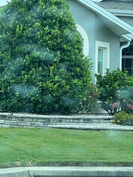 Pristine Hardscape & Landscaping