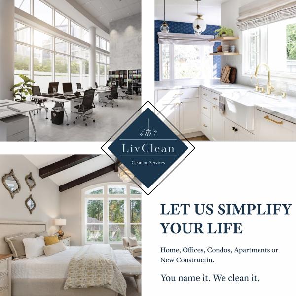 Livclean Services