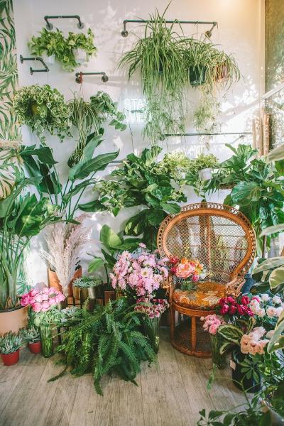 Wildflora