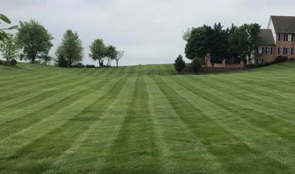 Fairlawn Landscaping