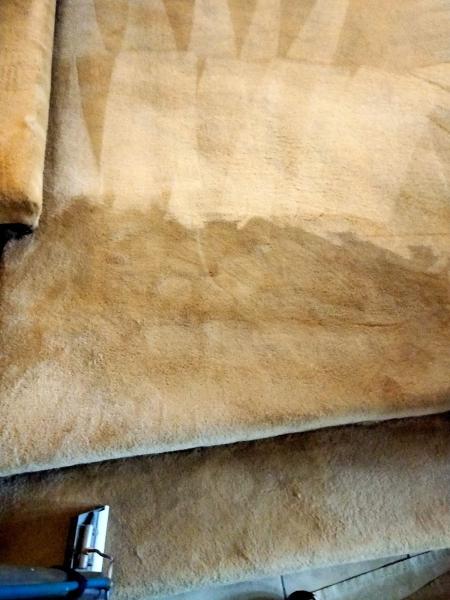 Vince's Carpet Cleaning