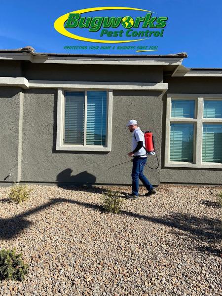 Bugworks Pest Control