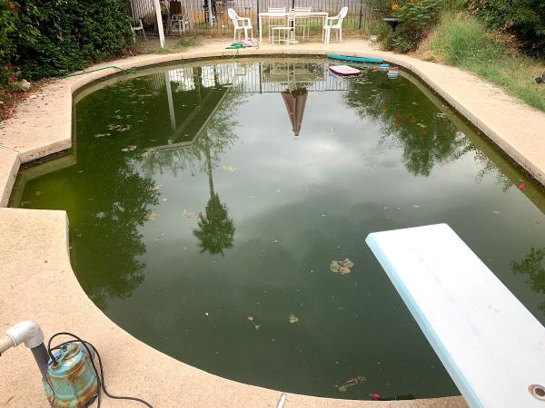Stay Fresh Pools