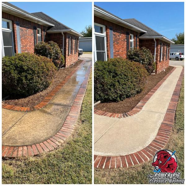 THE Power PIG Pressure Washing