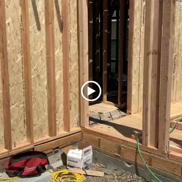 Shofani Construction Group Inc