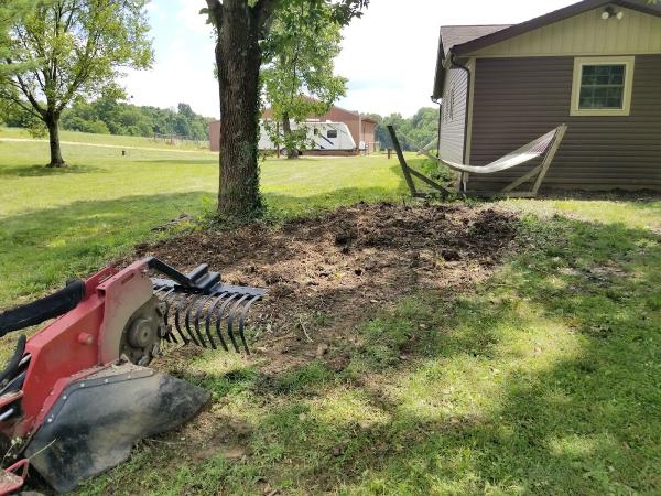Gram Stump Grinding