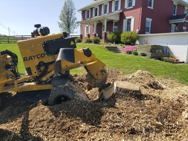 Gram Stump Grinding