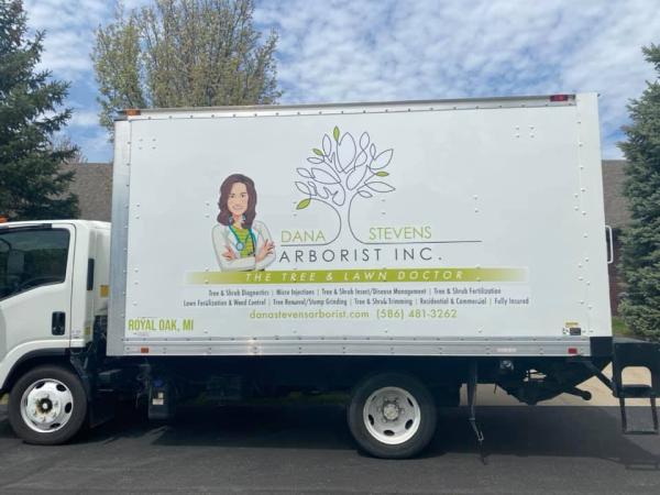 Dana Stevens Arborist