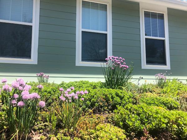 Ozark Green Roofs