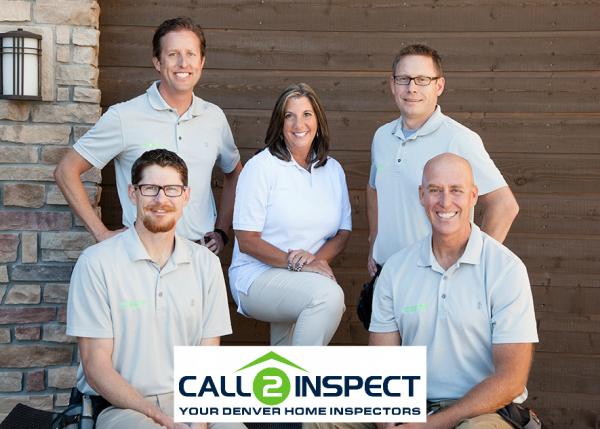 Call2inspect
