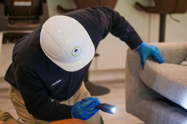 Emerald Organic Pest Control