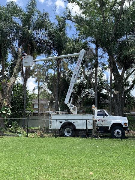 Z's Bobcat & Tree Service