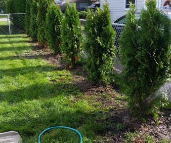 A & R Lawn Care