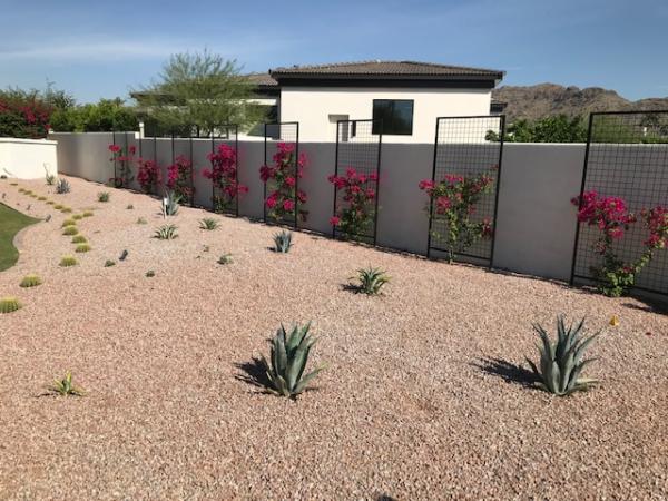 The Desert Root Landscaping