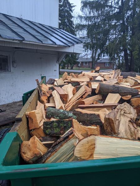 Urban Loggers