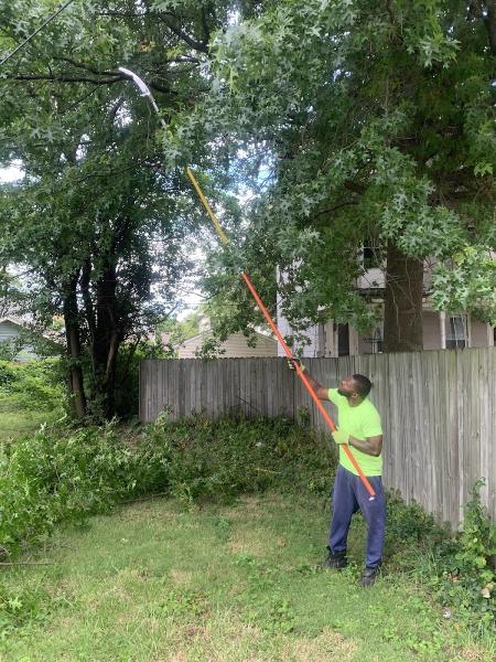 Climbing Brothers Tree Service LLC