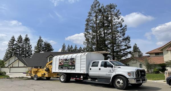 Travis Tree Service