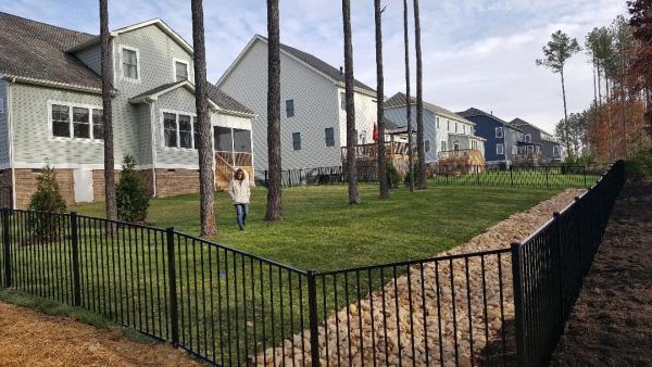 Minors Fences