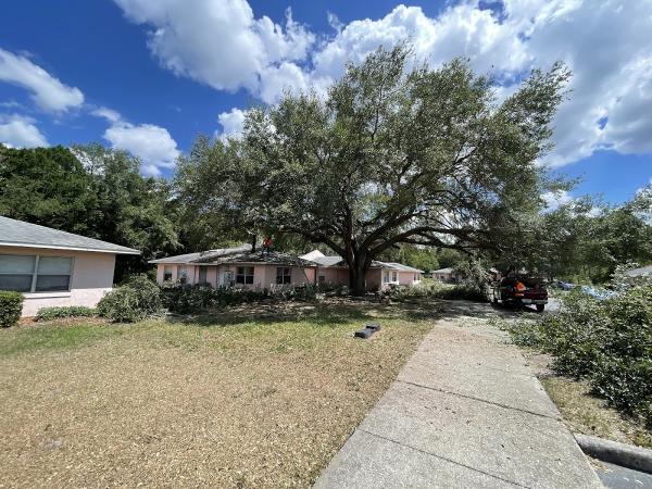 Casma Tree Services