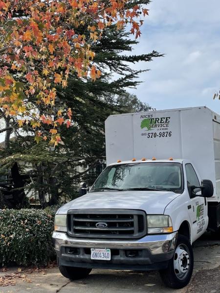 Nick's Tree Service