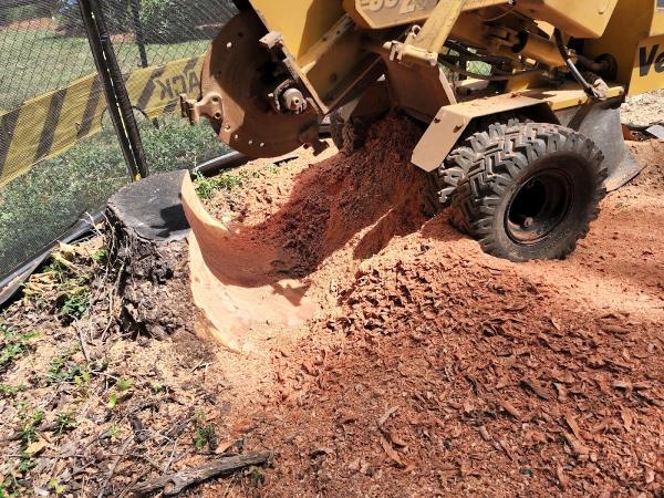 O'Brien Stump Grinding
