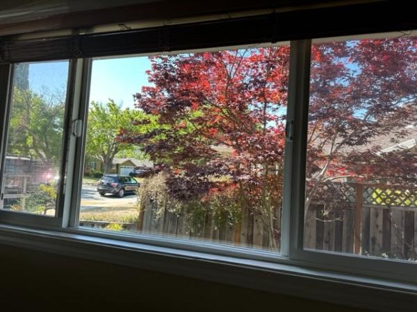 Milgard Windows & Doors
