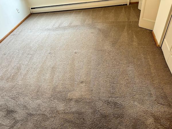 All Star Carpet Cleaning