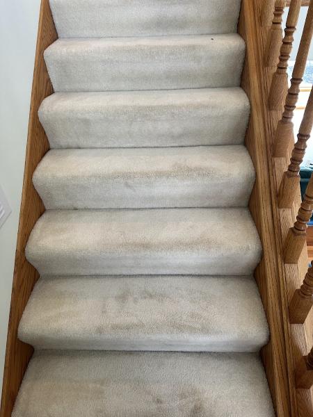 All Star Carpet Cleaning