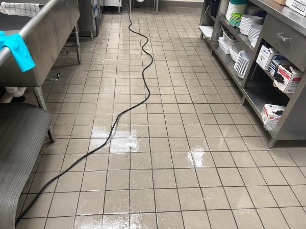All Star Carpet Cleaning