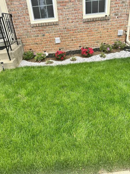 Leafy Lane Landscaping