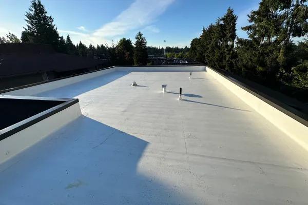 Flat Roof Pros