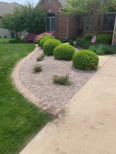 Rumble Bee Tree Service