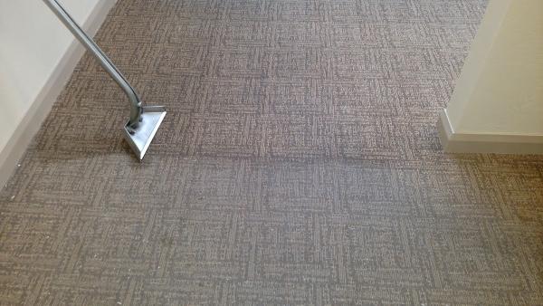 American Carpet Care