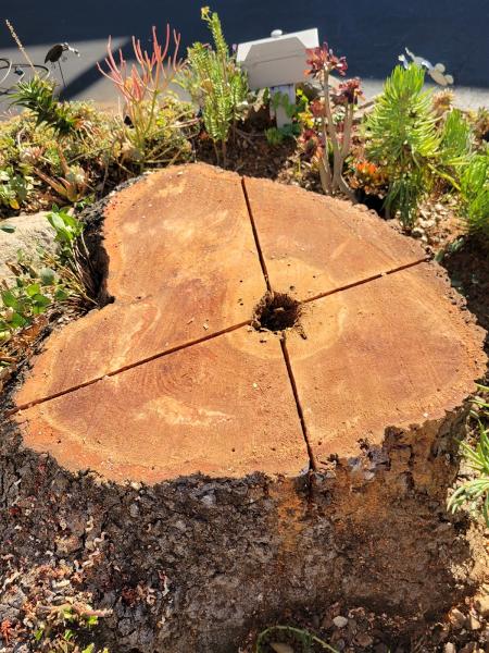 Leon Tree Service Inc