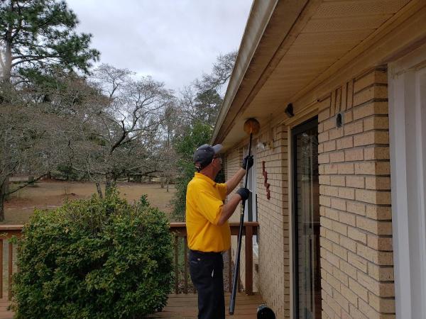 Rust Pest Solutions