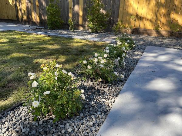 Drewgreen Lawn & Landscape