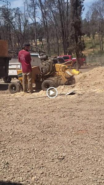 David's Stump Grinding