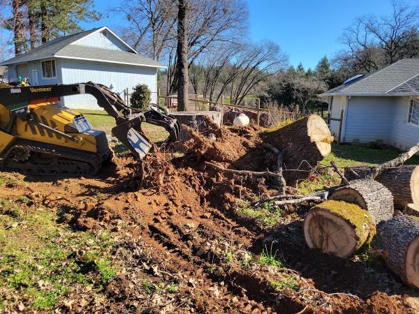 David's Stump Grinding