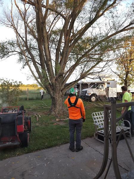 Timber Tree Service LLC