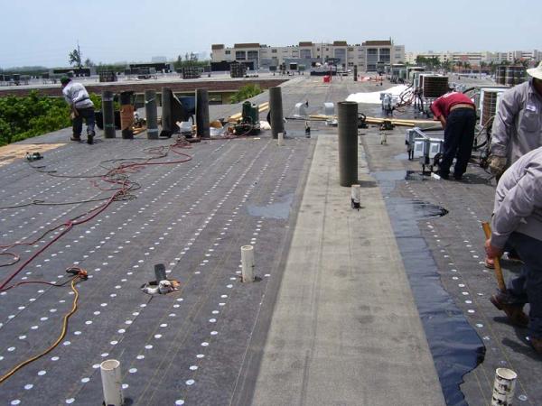 The Expedite Construction Inc