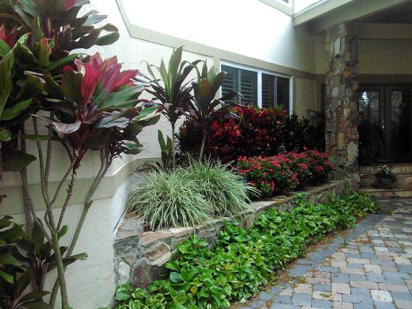Johns Palms Landscaping