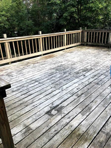 Albany Pro Painting