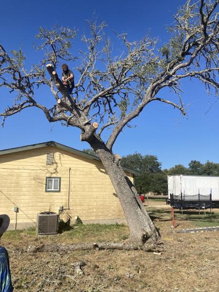 Eagle Tree & Lawn Care