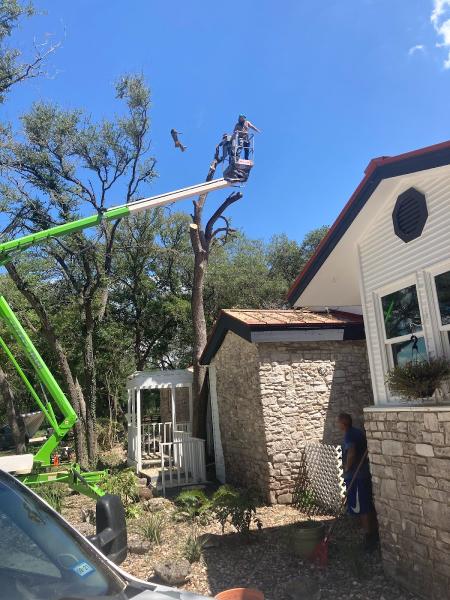 Eagle Tree & Lawn Care