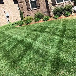 Mt Juliet Lawn Service