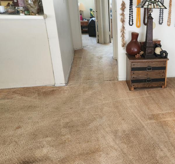 Herrera's Carpet Cleaning
