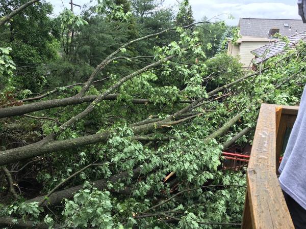 Axeman Tree Service