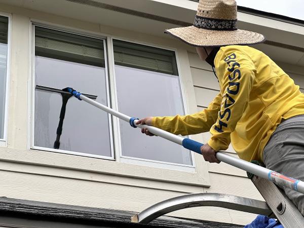 Super Bee Pressure Washing
