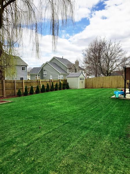 Lawn Envy