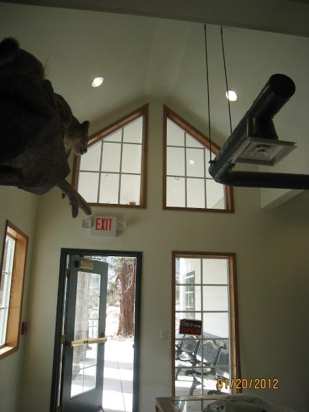 Tamara's Painting Company